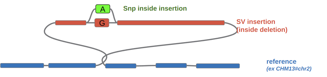 Nested SNP in SV insertion